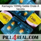 Kamagra 100Mg Gelée Orale À Vendre cialis5